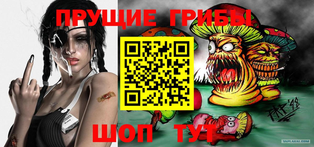 Галлюциногенные грибы мицелий Чайковский